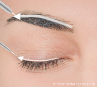 Augenbrauen verlängern - Die TOP Auswahl unter den analysierten Augenbrauen verlängern!